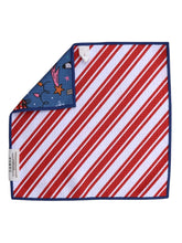 Holiday Mix: Reversible Washcloth: Blue / Washcloth (12 in x 12 in)