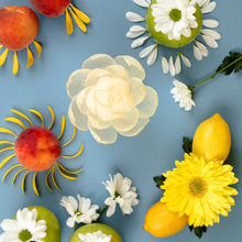 Sunbeam Flower Diffuser