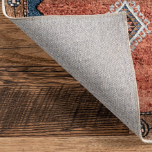 Judy Traditional Persian Machine Washable Area Rug: Rust / Rectangle / 4' x 6'