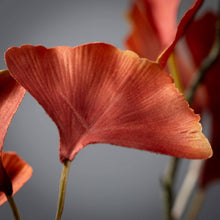 Red Fall Ginko Spray