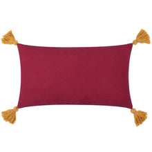 Kalahari Embroidered Velvet Cushion Multicolour: Multicolour / Feather Filled / 30 x 50cm