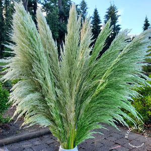 X-Large, Extra Fluffy Pampas (3ft) - Heathered Basil Green