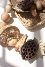MIXED DRIED BOTANICAL GARLAND: BROWN / DRIED BOTANICAL / 72"t