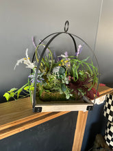 Lavender w/ Greenery