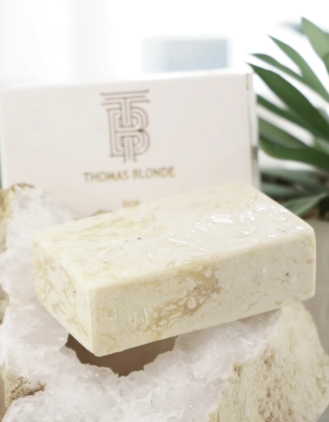 Exfoliating Moisturizing Body Bar - Blonde