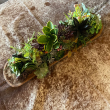 Succulent Dough Bowl Arrangement