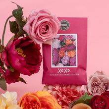 XOXO Sachet 9 Pack