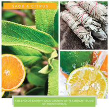 A Cheerful Giver: Sage & Citrus