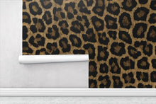 Leopard Print — Luxe Textures Luxury Wallpaper Roll: Sample/Swatch / Paste-on-textured