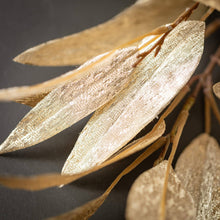 Eucalyptus Spray