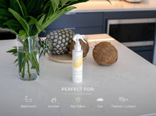 Coconut Pineapple Air and Fabric Freshener